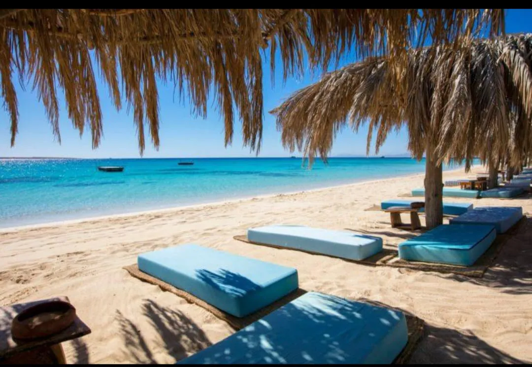 Mahmya island 🏝️🏖️ trip El Gouna Mahmya island /IMG-20260701-WA0176.jpg